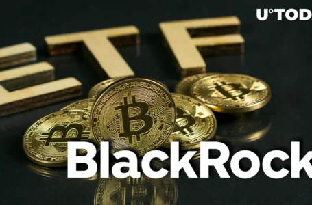 BlackRock’s Bitcoin ETF: Top Expert Foresees Win-Win-Win Scenario