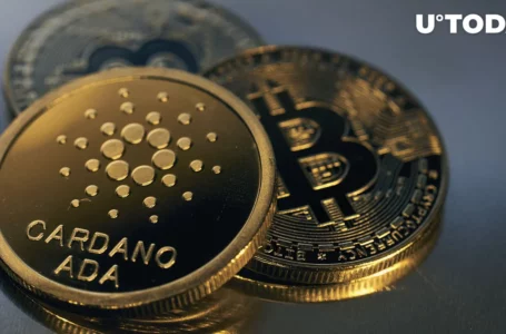 Bitcoin (iBTC) on Cardano Depegs, Here’s What Happened
