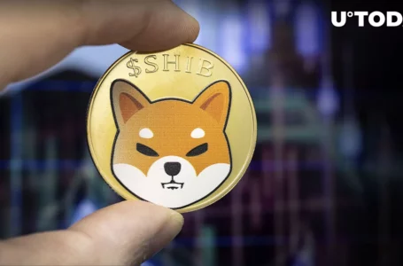 28 Billion SHIB Shifted to Top Exchanges After SHIB’s Recent Price Move