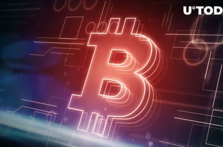 Fake Satoshi Exposes Bitcoin (BTC) Devs: Accuses Theft and Sabotage