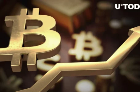 Bitcoin Dominance Targets 70% Milestone as Market Shifts