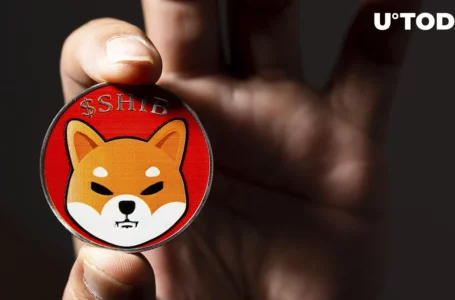 Shiba Inu Lead Shytoshi Kusama Has “Lovely” Present for Community