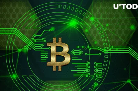 Bitcoin (BTC) About to Reach ‘Hope’ Stage, Then Jump to ‘Euphoria,’ Analyst Says