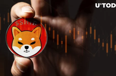 Massive Shiba Inu Token Sell-off Causes SHIB Price Crash: Details