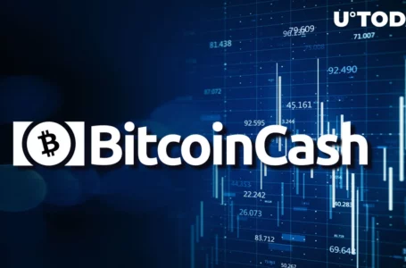 Bitcoin Cash (BCH) Up 79% in Days; Here Are Possible Reasons for Rise