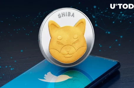 Shiba Inu (SHIB) Lead Sparks Curiosity With New Tweet: Details