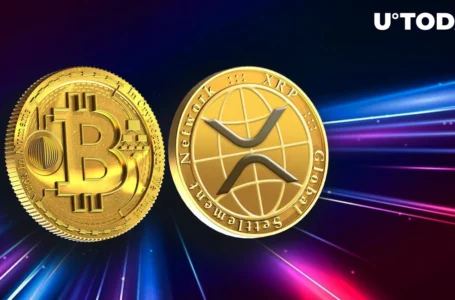 Pro-XRP Lawyer Thinks Bitcoin (BTC) Might Reach $300,000, Here Is Basis