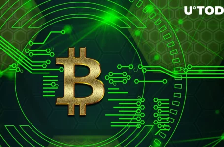 Bitcoin’s Decentralization on Rise, Here’s How You Benefit From It
