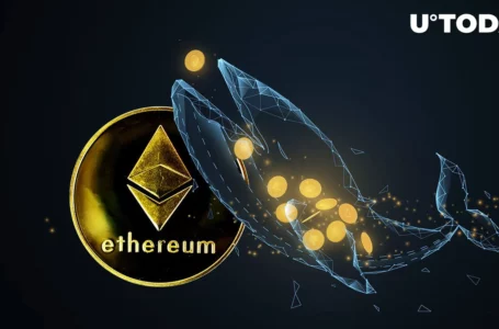 Sleeping Ethereum Whale Awakens and Moves Millions: Is It End of ETH Price Rally?