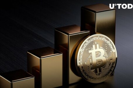 Bitcoin (BTC) Just Beat New Price Record