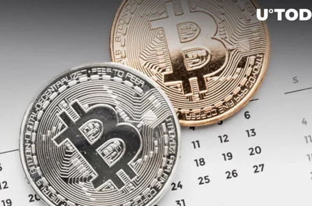 Tuesday Is Most Profitable Day for Bitcoin (BTC), Data Shows