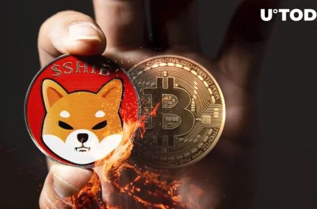 101 Million SHIB Burned As Shytoshi Kusama Likens Shiba Inu to Bitcoin (BTC)