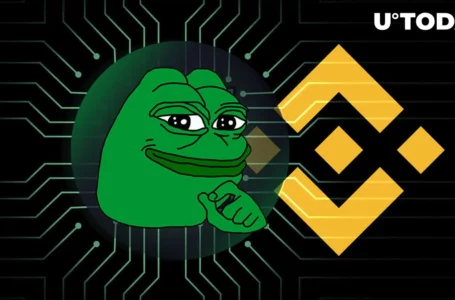 Almost 2 Trillion PEPE Withdrawn From Binance; What’s Happening?