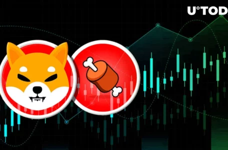 Shibarium Gas Token BONE Added by Another Exchange, Price Goes Green