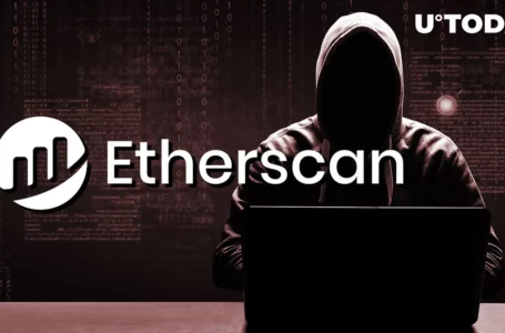 Here’s How to Detect Crypto Scam With Etherscan Knowing Only Website Name