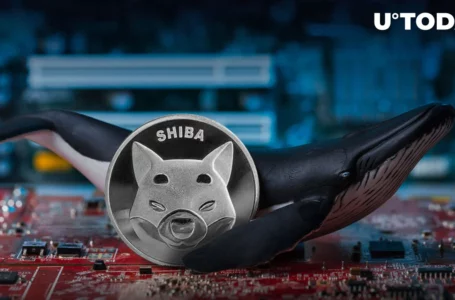 Whales Shift 9 Billion SHIB, Major Exchanges Involved – Price Turns Green