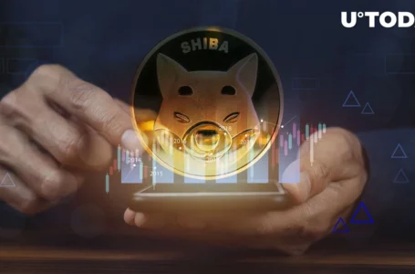 SHIB Price Takes U-Turn After Epic Shiba Inu Teaser Is Unveiled