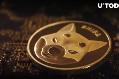 Shiba Inu (SHIB) 300 Trillion Resistance Raises Some Concerns