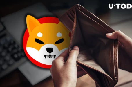 Bankrupt Shiba Inu Trillionnaire Moves Billions of SHIB: Where To?