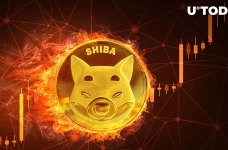 SHIB Burn Rate Jumps 1,803% As Shibarium Hits New Milestones