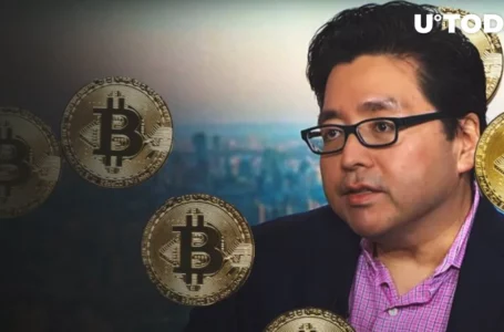 After Predicting $500,000 Bitcoin Price, Fundstrat’s Tom Lee Applauds BlackRock-Fueled Recovery