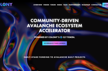 Colony Review: A Community-Driven Accelerator For The Avalanche Ecosystem