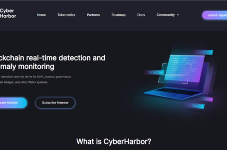 CyberHarbor Review: A Network Decentralized Real-Time Monitoring For Multiple Systems