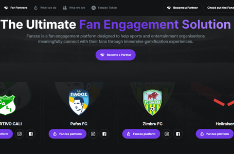 Fanzee Labs Review: All You Need To Know