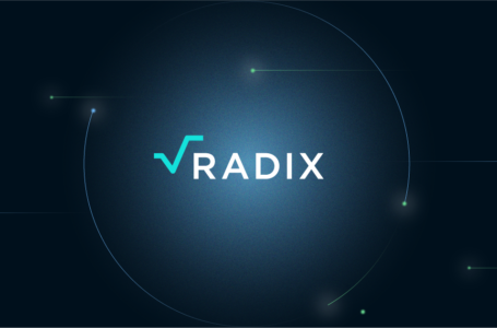 Radix DLT (Distributed Ledger Technology) Review: A Full-Stack Layer-1 Protocol