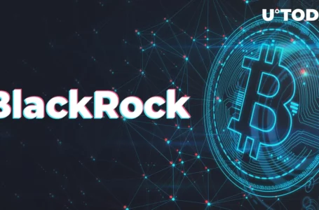 BlackRock Bitcoin (BTC) ETF Might Pave Way for PoS Fork