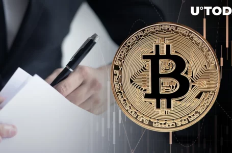 Pro-Ripple Lawyer Spots Positive Sign for Bitcoin, Eyes $50,000 BTC