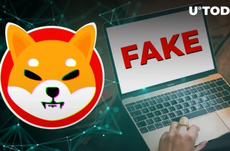Shiba Inu Community Alerted to Fake Shibarium Testnet Rewards: Details