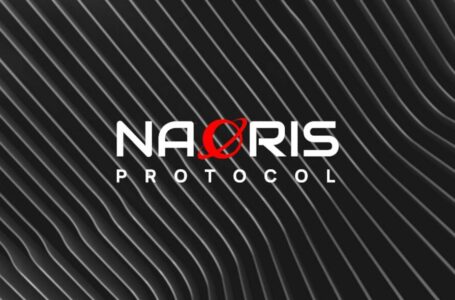 Naoris Protocol Review: A Cybersecurity Enforcement Protocol
