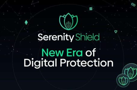 Serenity Shield Review: The First Decentralized Identity (DID) Blockchain-Based Technological Solution