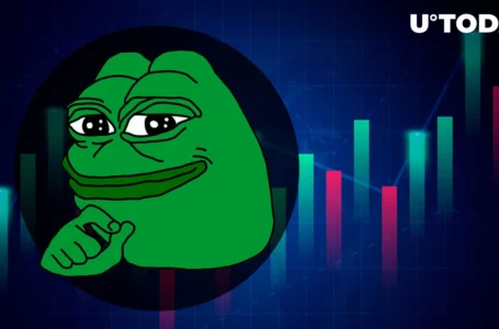 PEPE Coin Attracts Major Investment