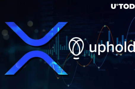 XRP Poised for Boom as Uphold CEO Predicts Major Institutional Interest
