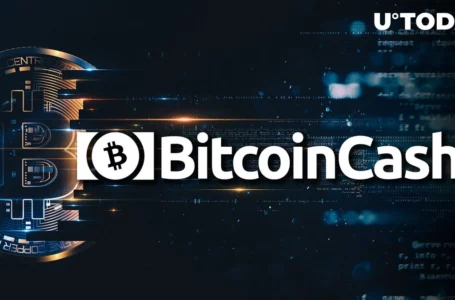 Bitcoin Cash (BCH) Deserves to Eclipse Bitcoin (BTC) by Market Cap, Top Analyst Says