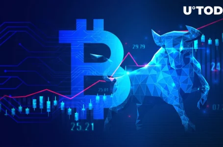 Bitcoin ETF Narrative Shapes BTC Bullish Rally in Many Ways, Asset Management Vet Says