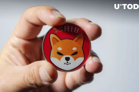 Shiba Inu Token Addresses Skyrocket as SHIB Price up 9%