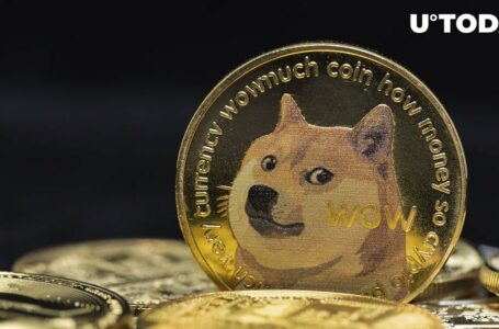 Dogecoin Creator Billy Markus Makes Fun of Airdrop Farmers