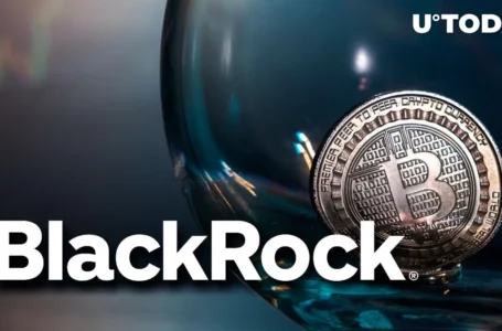 BlackRock’s Bitcoin ETF Re-Bid Delayed: Expert Weighs Reasons Why