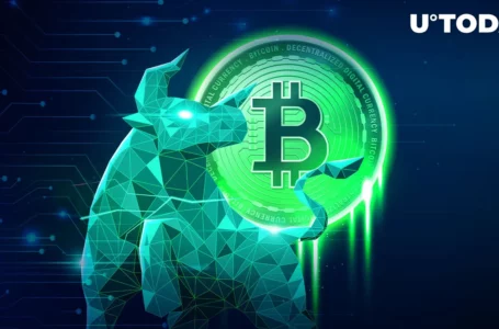 Bitcoin (BTC) Bull Run Is Just Getting Started, Says Analyst