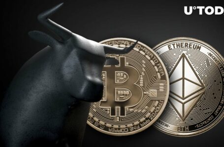 Giant Whales Bet Big on Ethereum (ETH) & Bitcoin (BTC), Sparking Market Optimism