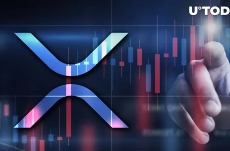 XRP Tops $0.8 After Major Price Spike