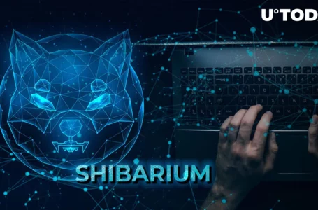 Shibarium Smashes Major New Utility Milestone as This Metric Surges: Details