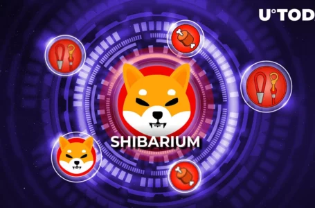 Shibarium to Go Way Beyond SHIB, LEASH and BONE: SHIB Team Marketing Expert