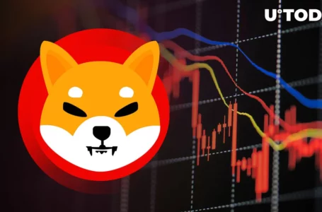 Shiba Inu’s 800 Billion SHIB Dump Creates Epic Red Candle Chaos