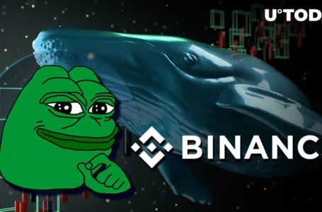 Pepe (PEPE) Whale Withdraws Trillions of Tokens From Binance