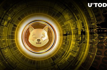 Shiba Inu (SHIB) New Direction and Plans Hinted at, Here’s Exciting Part