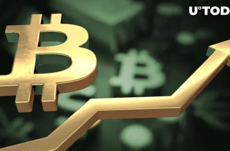 Bitcoin (BTC) Price Soars to 13-Month High: Possible Reasons